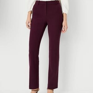 Ann Taylor straight pant curvy maroon
